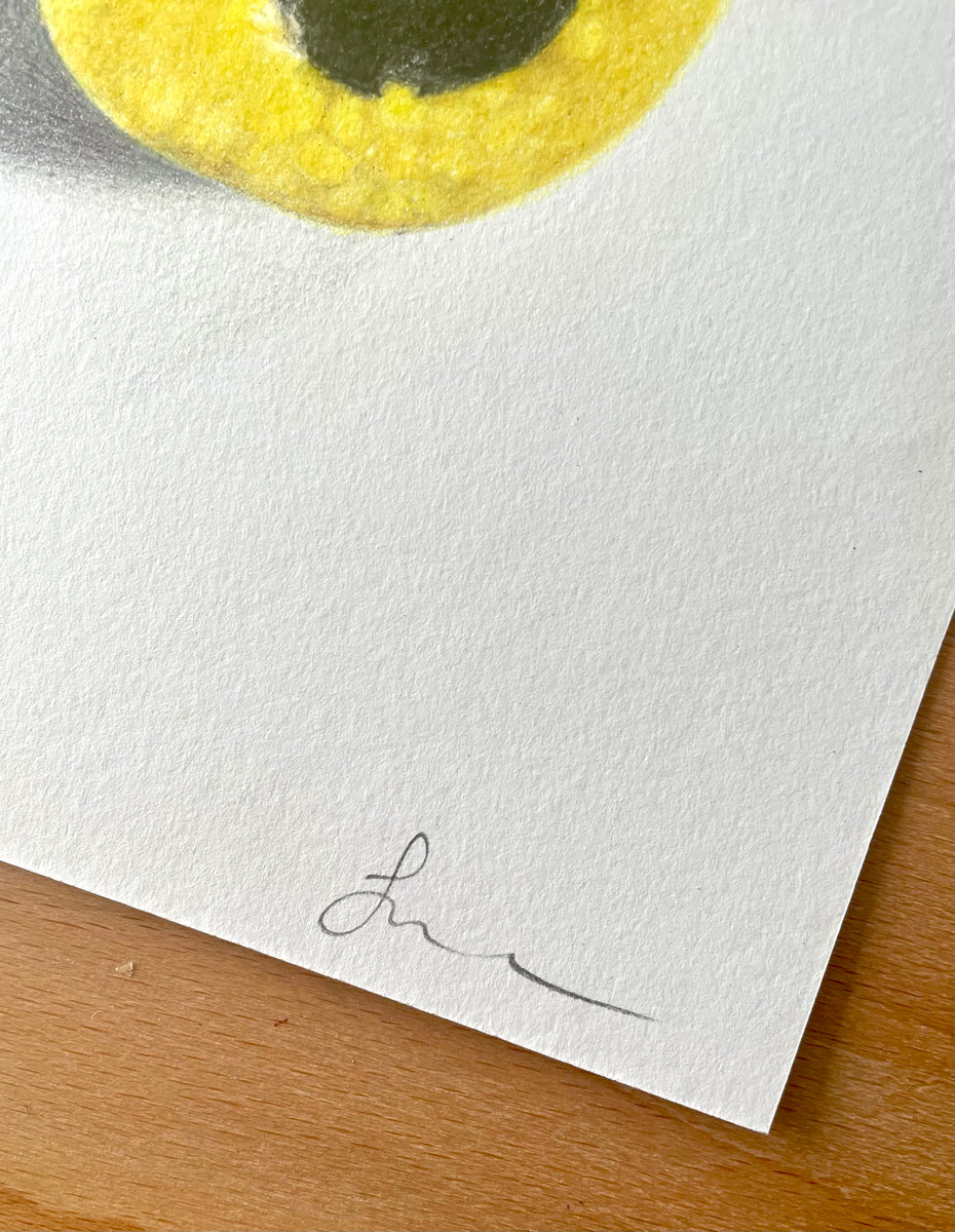 Liquorice Allsorts Original Hand Drawing Pencil on Paper