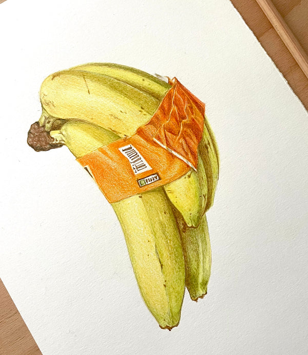 READY TO VIEW! Quick Draw Bunch of Bananas