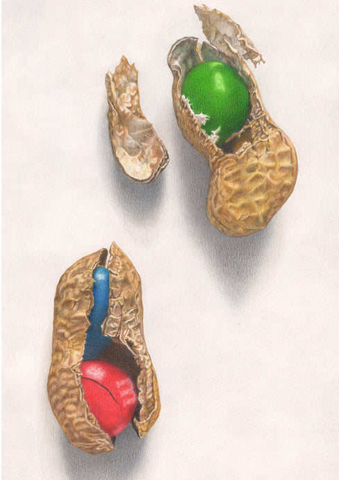 Monkey Nuts