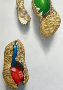 Monkey Nuts - Original Hand Drawing