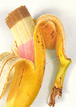 Load image into Gallery viewer, Neapolitan Banana