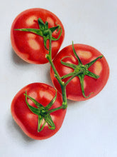 Load image into Gallery viewer, Tomatoes on the Vine - Original Hand Drawing