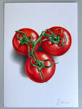 Load image into Gallery viewer, 3 Tomatoes on the Vine - Original Hand Drawing