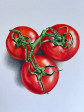 Load image into Gallery viewer, 3 Tomatoes on the Vine - Original Hand Drawing