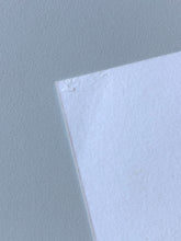 Load image into Gallery viewer, Daffodil - Original Hand Drawing