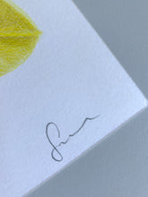 Load image into Gallery viewer, Daffodil - Original Hand Drawing