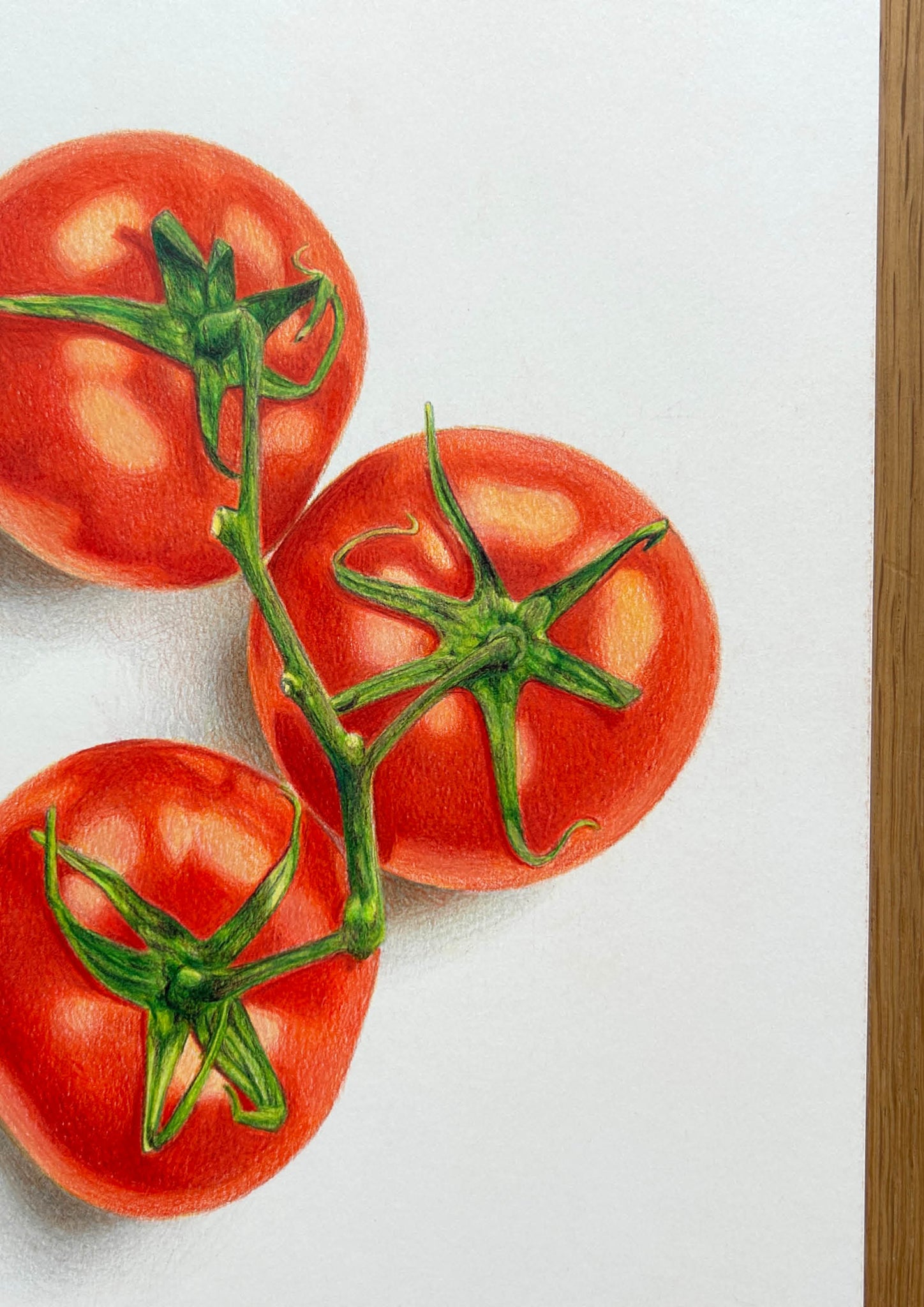 Tomatoes on the Vine - Original Hand Drawing – Pencil on Paper