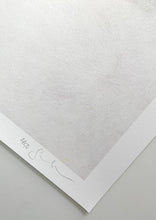 Load image into Gallery viewer, Hazard