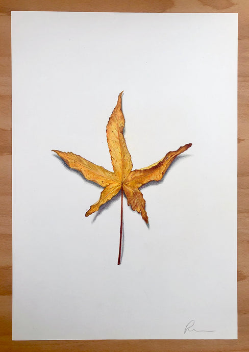 Leaf 02 - Original Hand Drawing