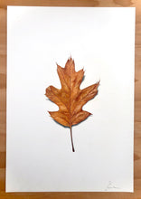 Load image into Gallery viewer, Leaf 01 - Original Hand Drawing