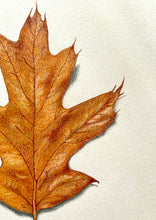 Load image into Gallery viewer, Leaf 01 - Original Hand Drawing